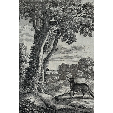 Famous Fox Canvas